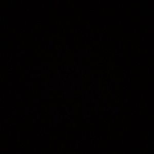 Meet your Posher, Zoiezoie